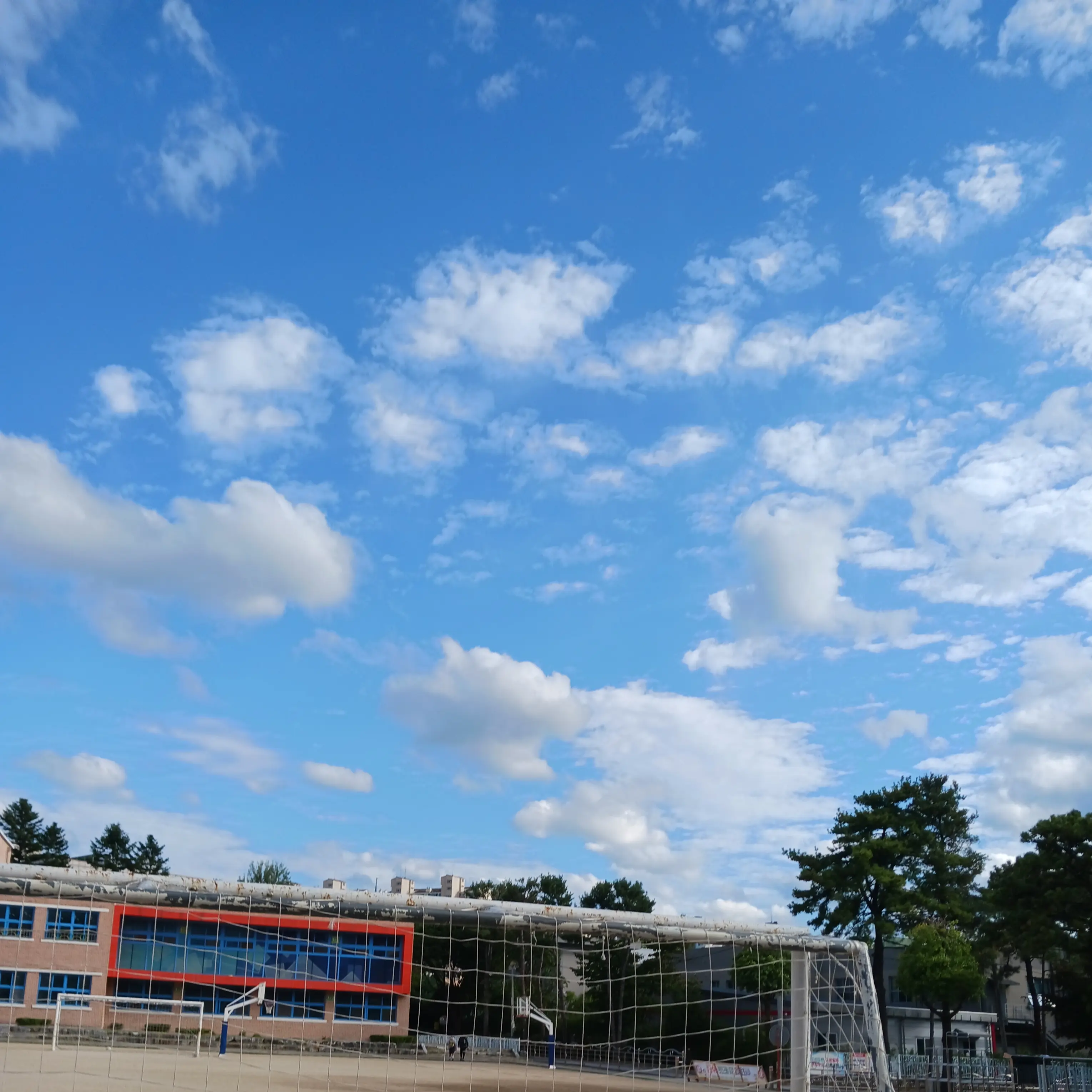 hiru_yeonhi의 공식 자낮남