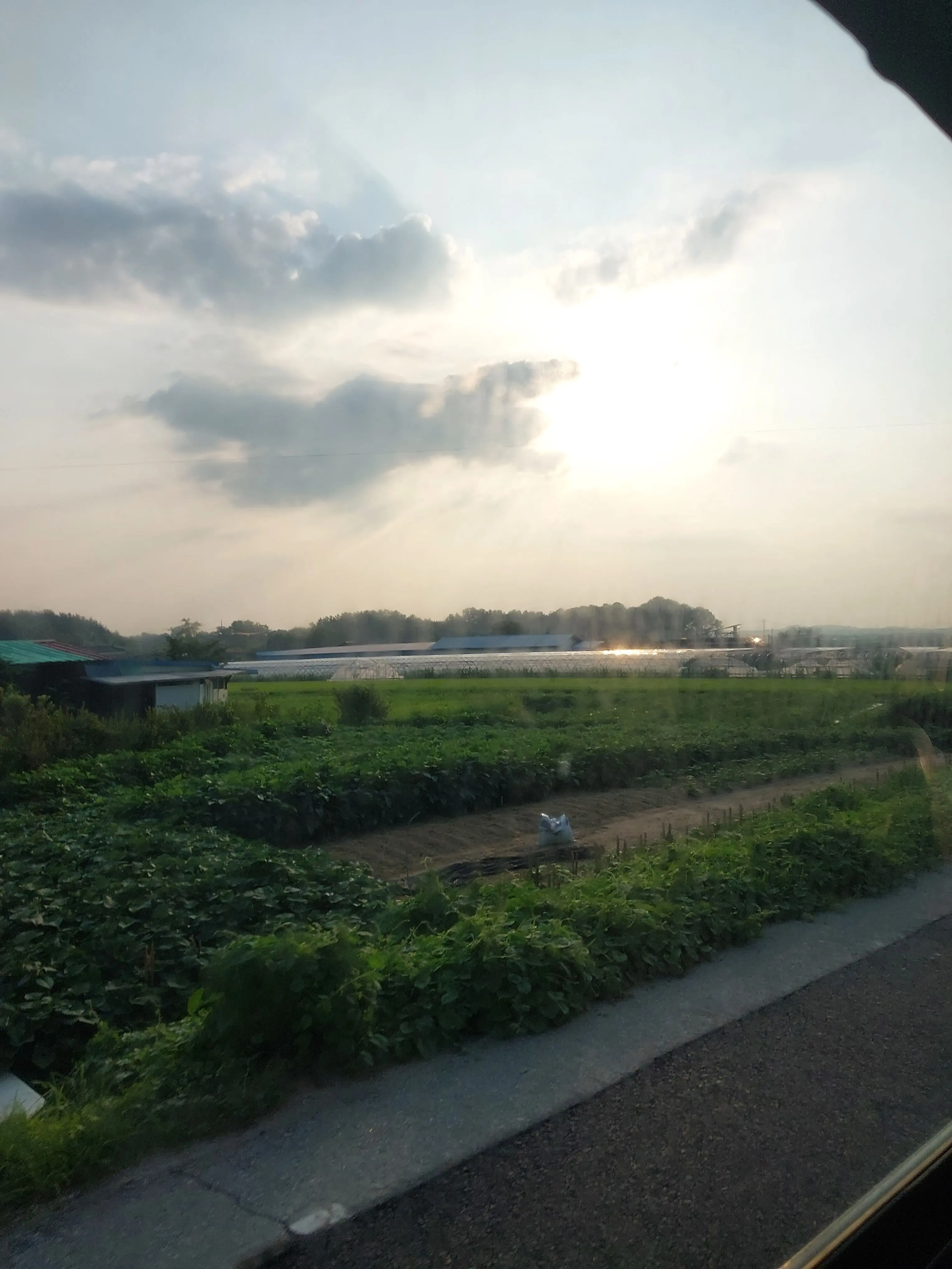 VocalHooks7951의 언리밋 대학교