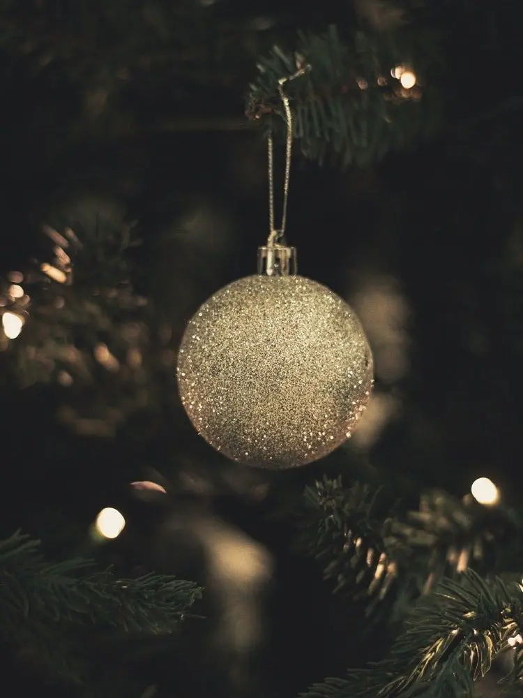 MeagerTorch1322의 이종족 뜰팁!