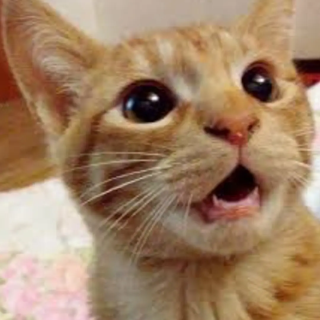 SneakyTrill5383의 아이돌 생활.