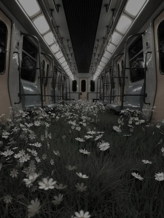 rose136p의 뭐가 달라졌을까?