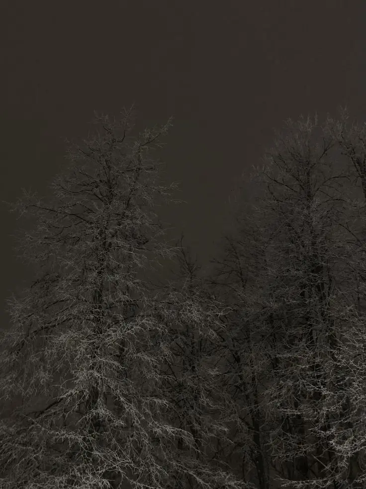 Knmx의 Ответьте мне.