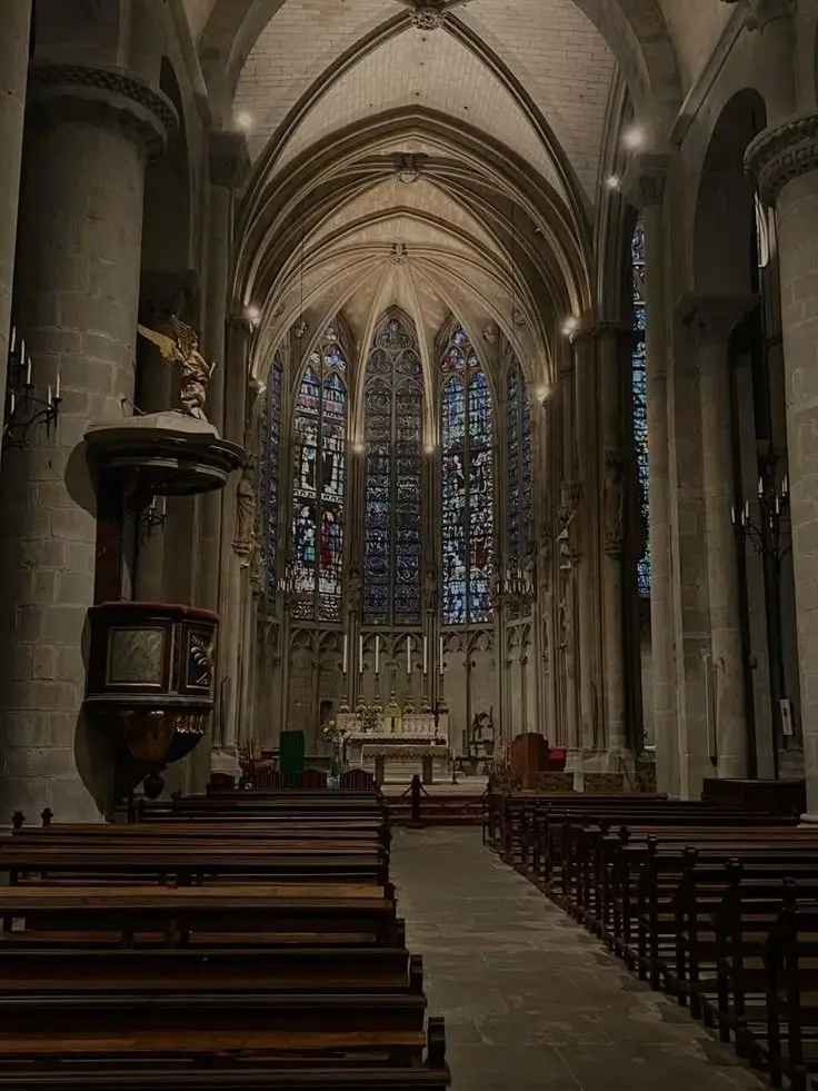 Rothel의 [언리밋] 쉐도우밀크