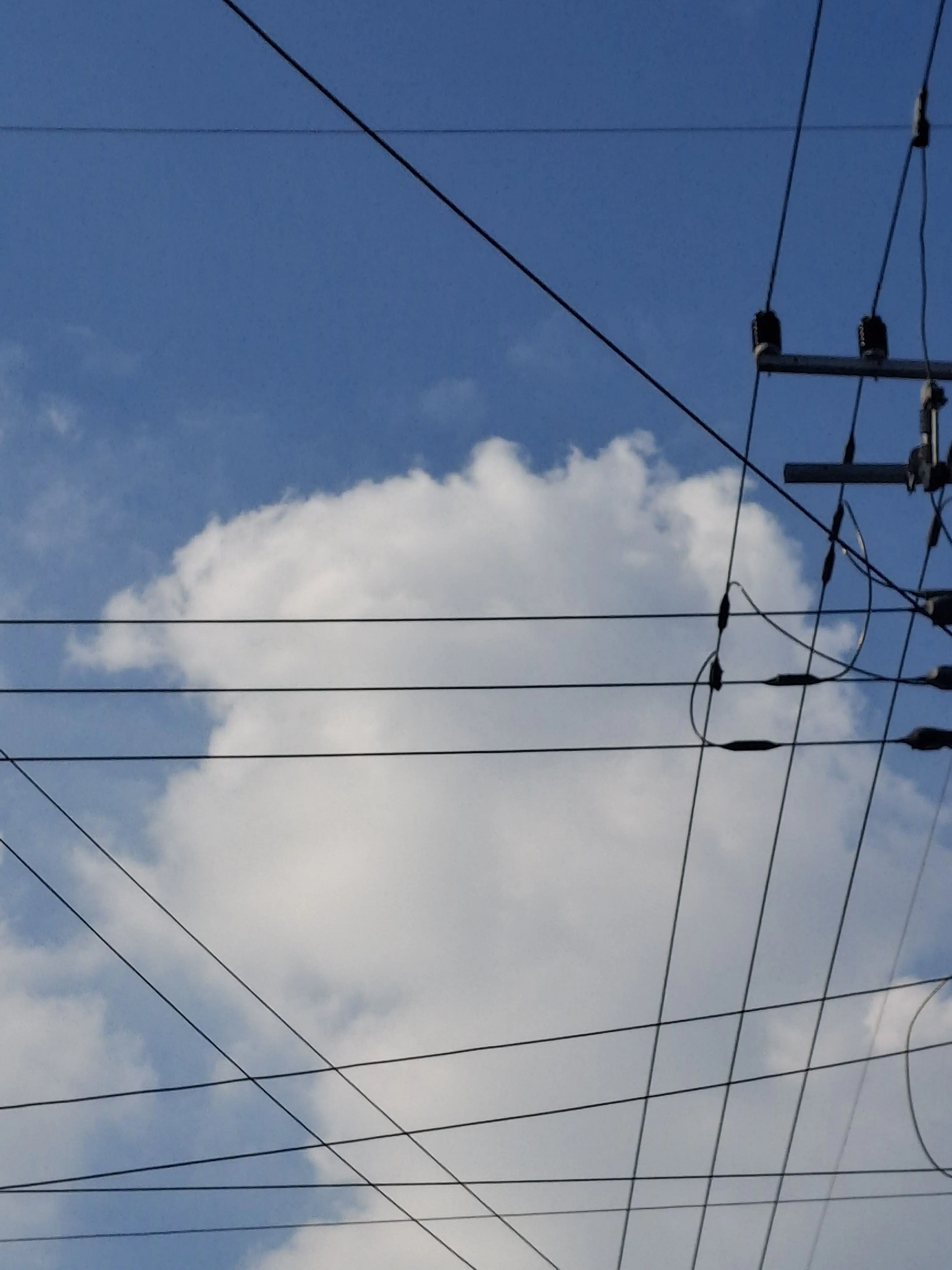 LoosePoco9107의 양석형