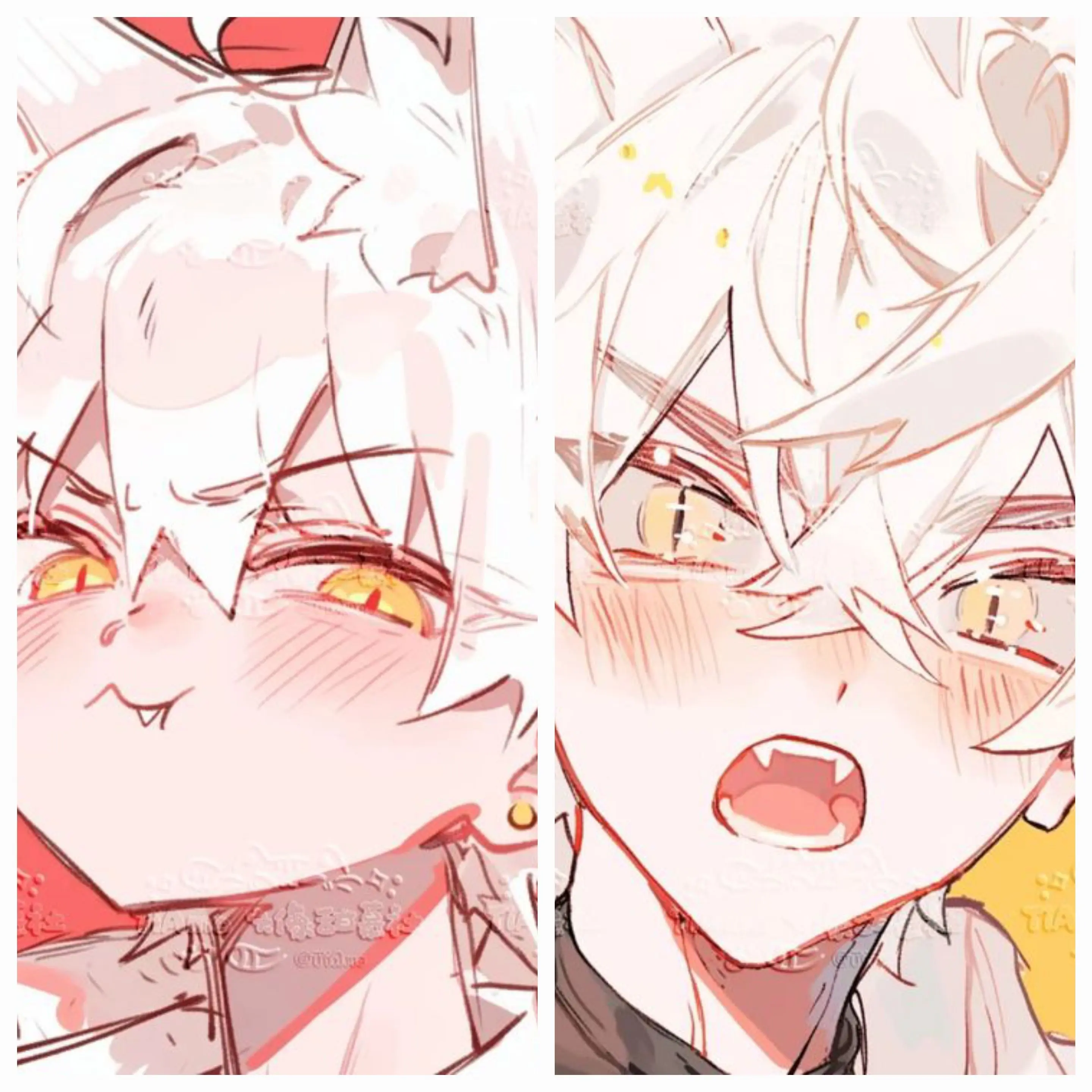 MAY7806의 [귀여운 고양이 형제 👀🐱]