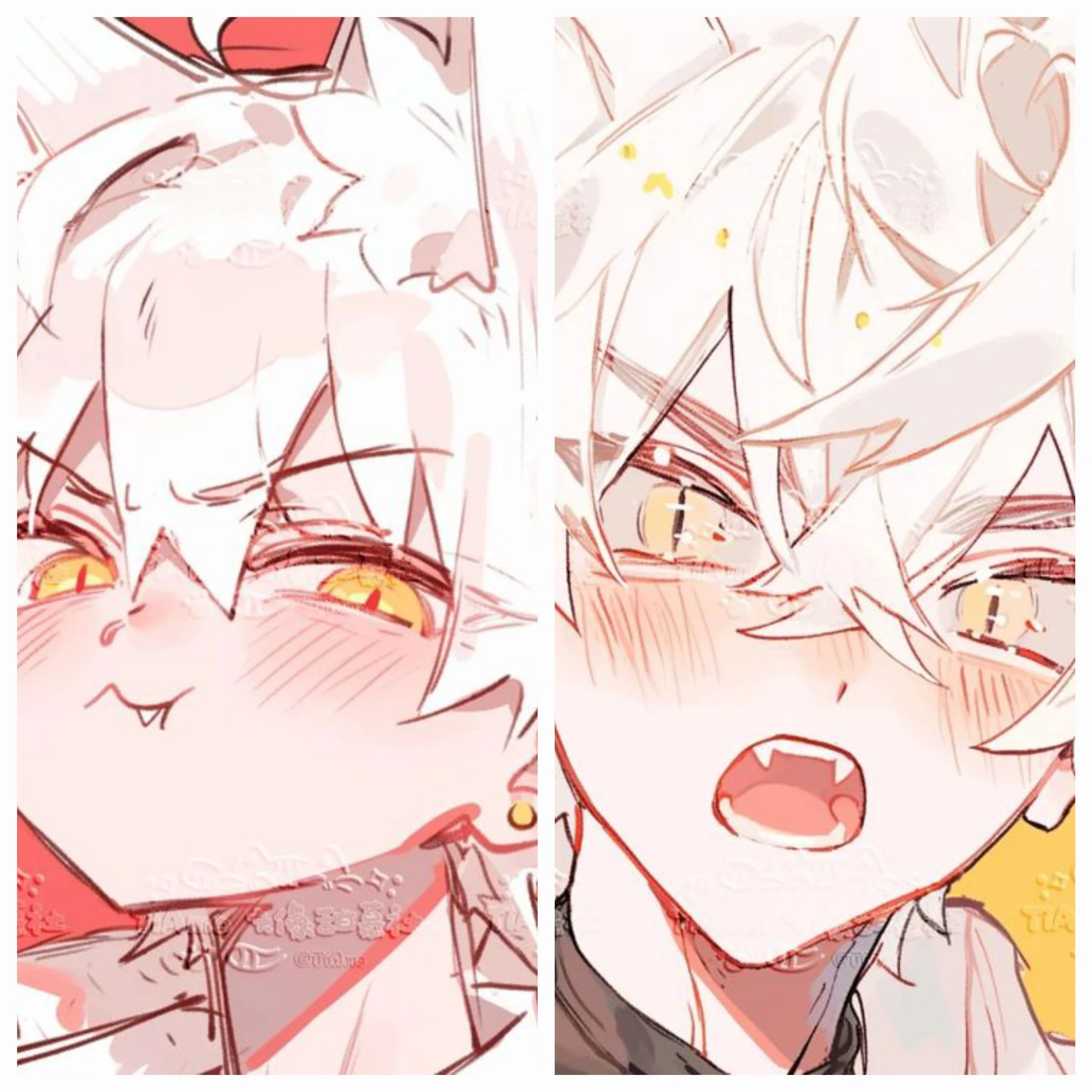 [귀여운 고양이 형제 👀🐱]