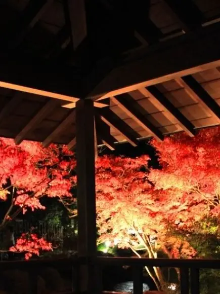 GrassyTang4127의 あの花が咲く丘パロ（逆バージョン自分用）
