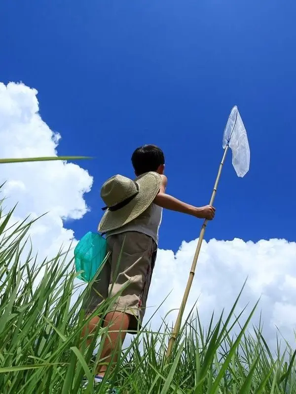 untilifoundyou의 소나기