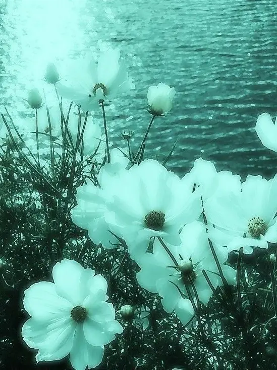 Higuys_의 Self-Indulgence