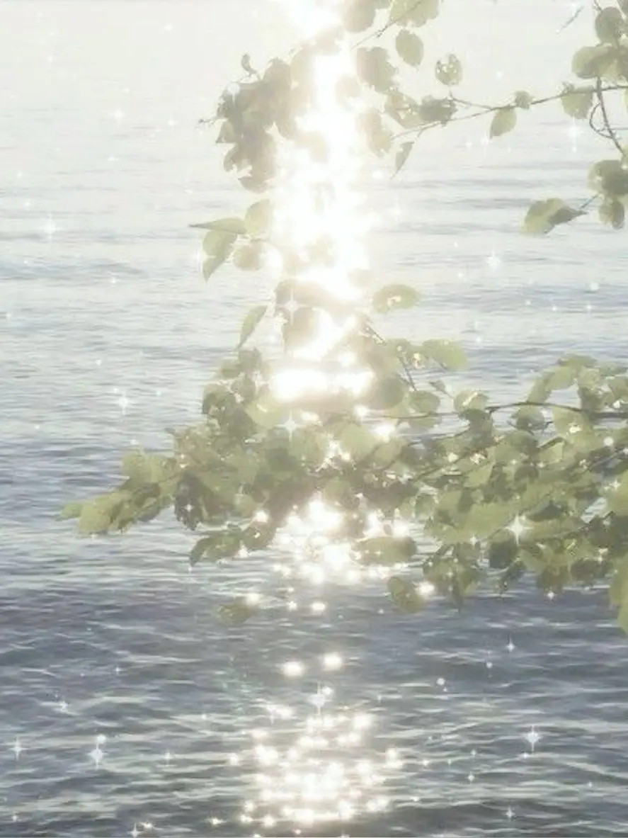 Dam_Noooel의 최강립