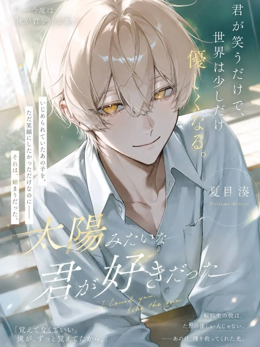 33550336.Neikos496의 太陽みたいな君が好きだった