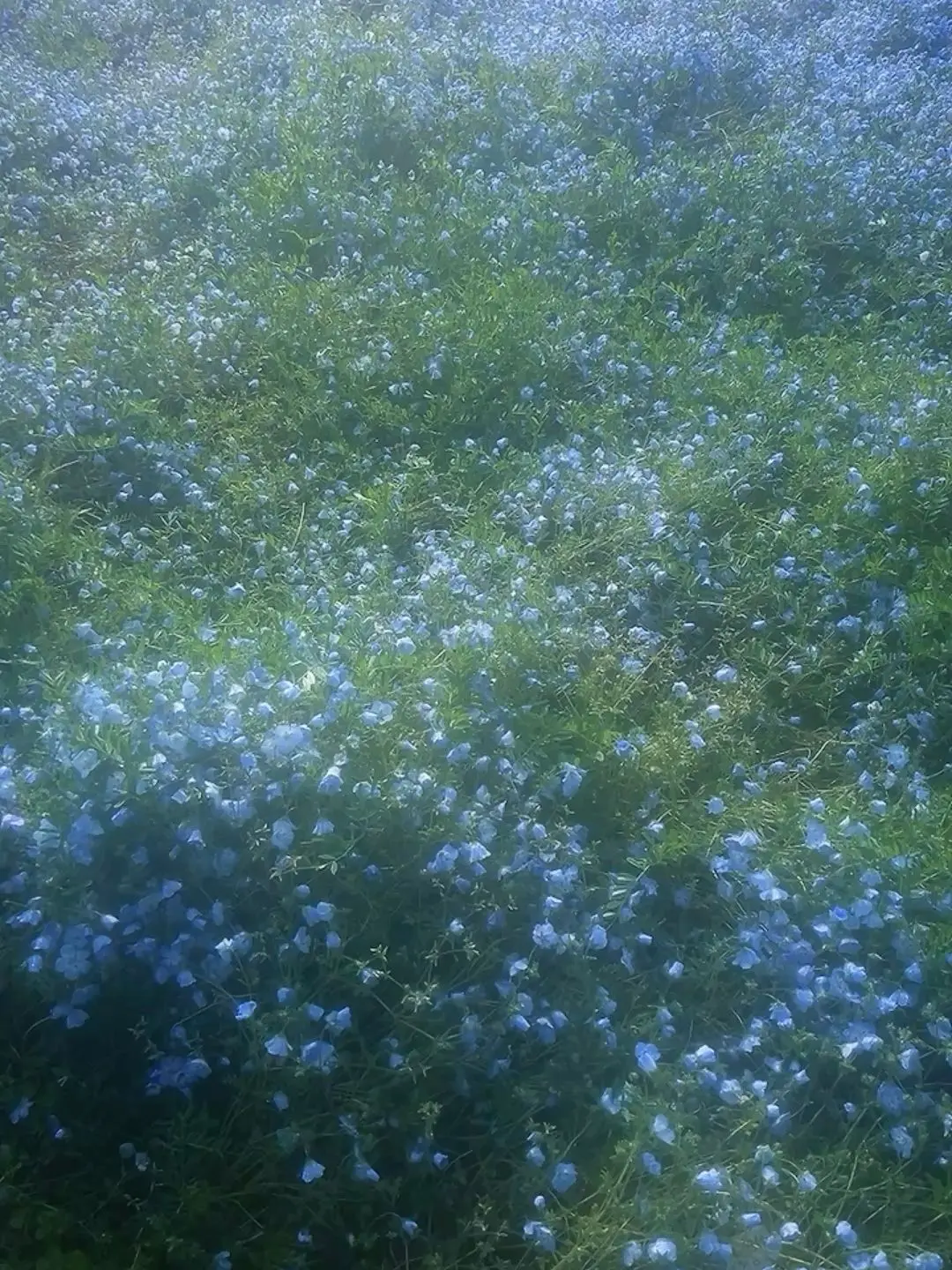 SpryModem3308의 あ