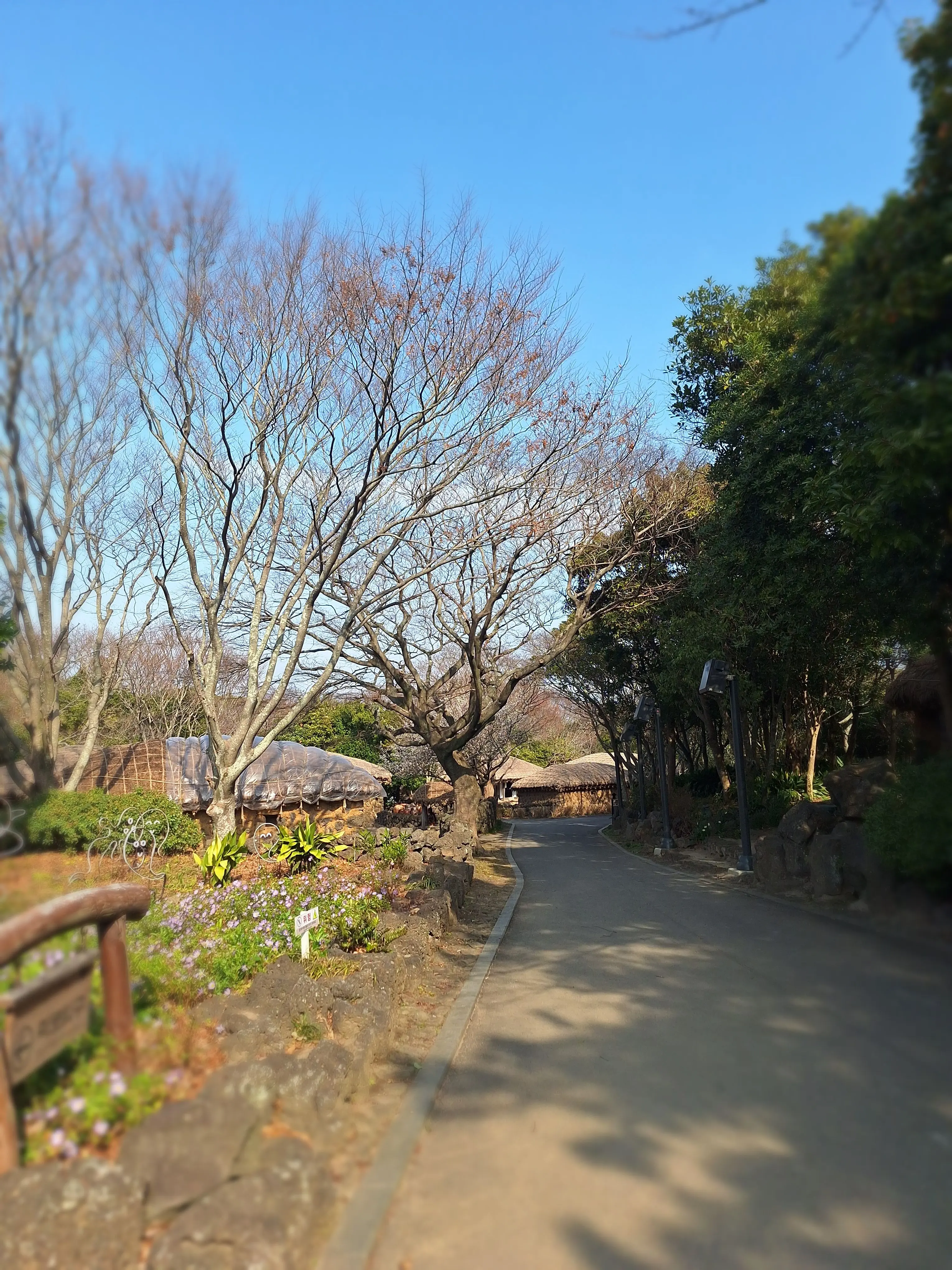 Hina8113의 웃는게 너무 서툰 너에게 ,