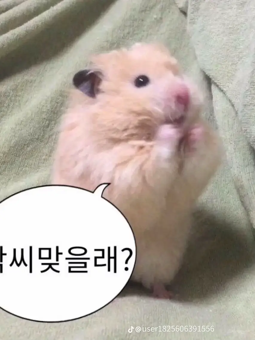Onus의 해피 팀나빠~!