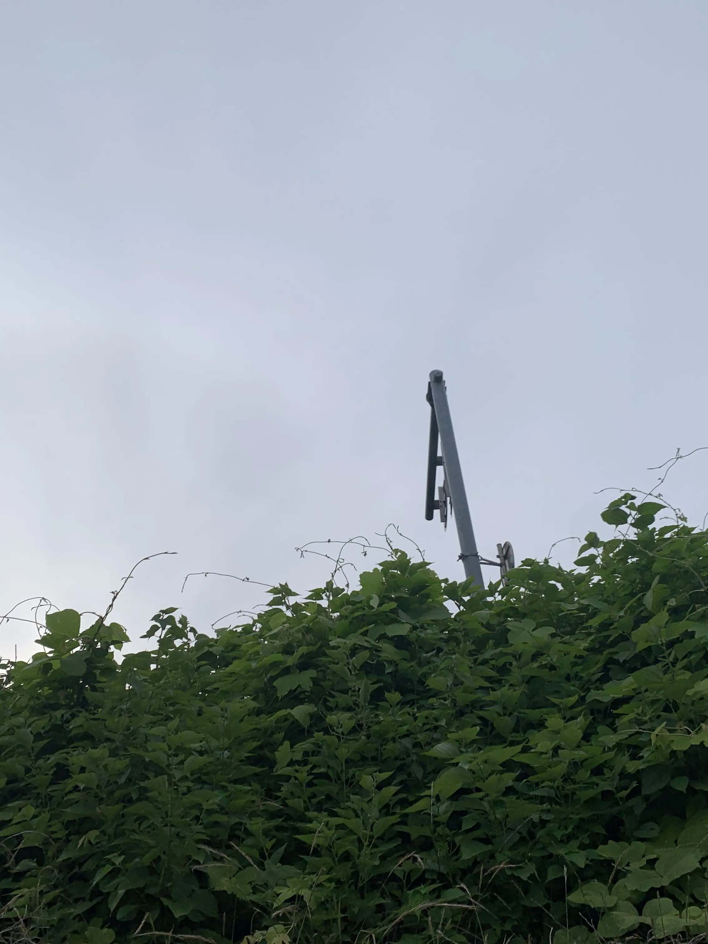 WittyRazor5293의 は？女優、だって？調子乗んな☆