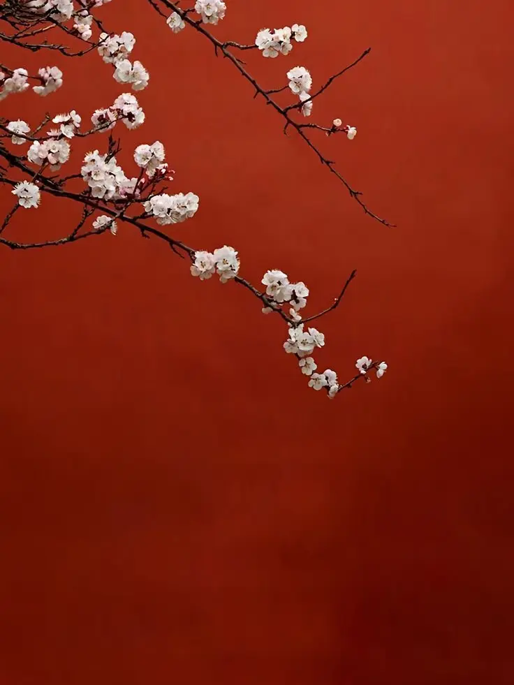 FoulStudy6860의 相思