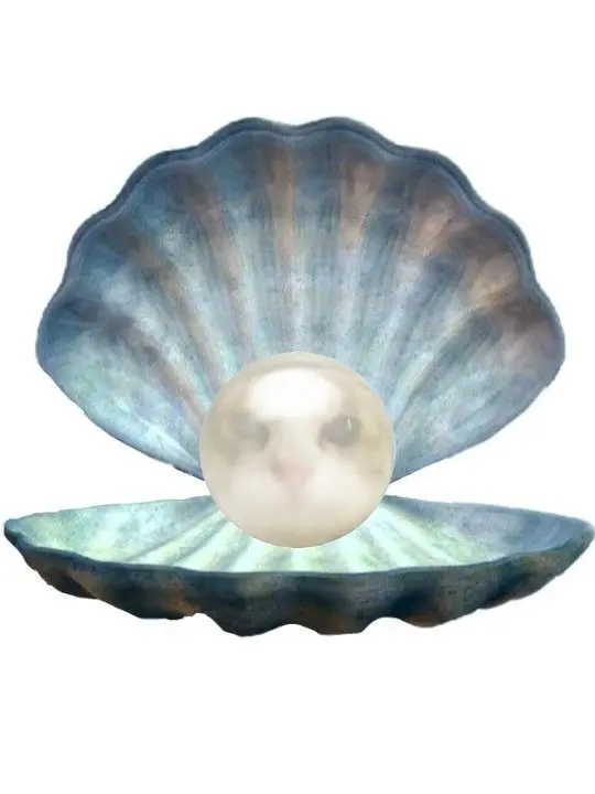 LongBison3926의 ...넌 뭐하는 자식이냐?