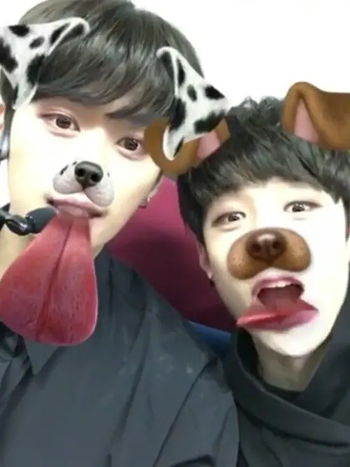 Minchanlover의 Bang Chan (minchan)
