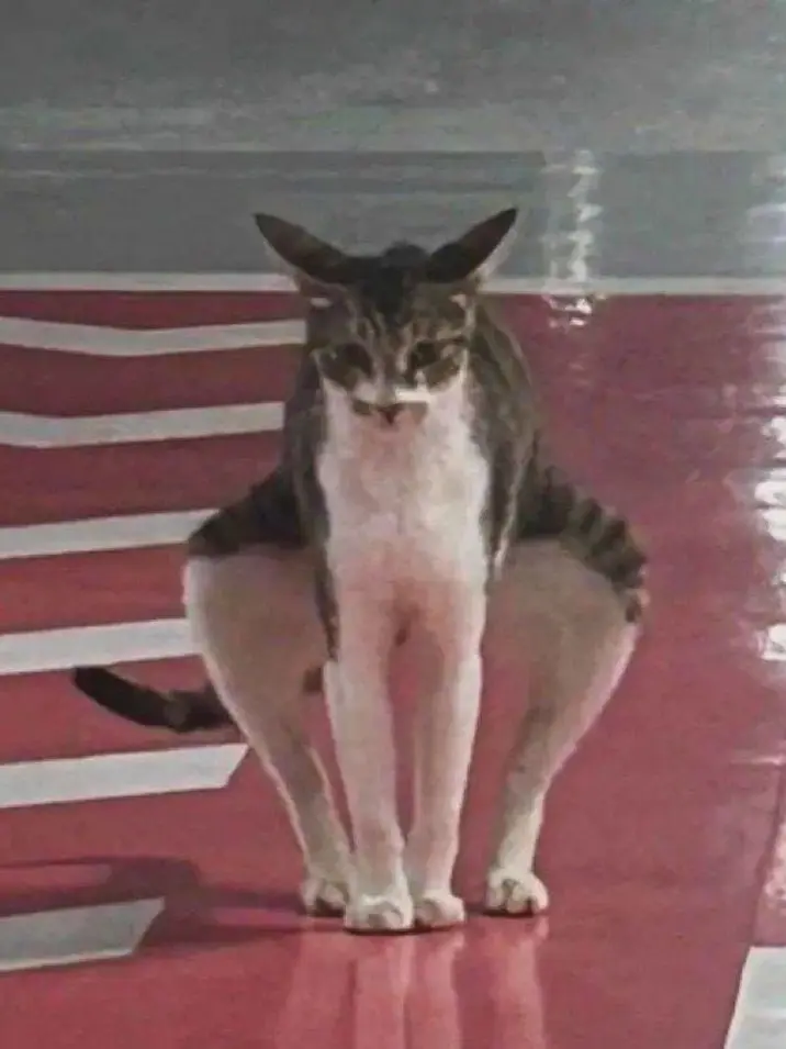 NastyVirus3491의 狭間ーランド