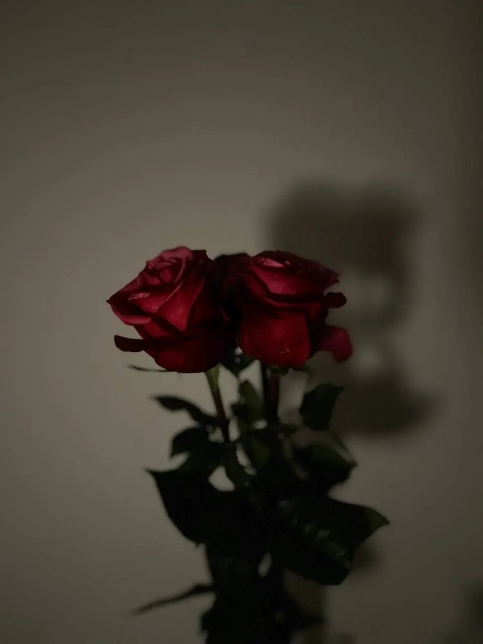 Miiii_.a의 あの日誓ったから