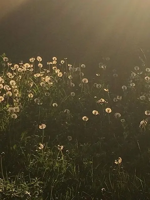 luv_sucha의 ‎𖤐