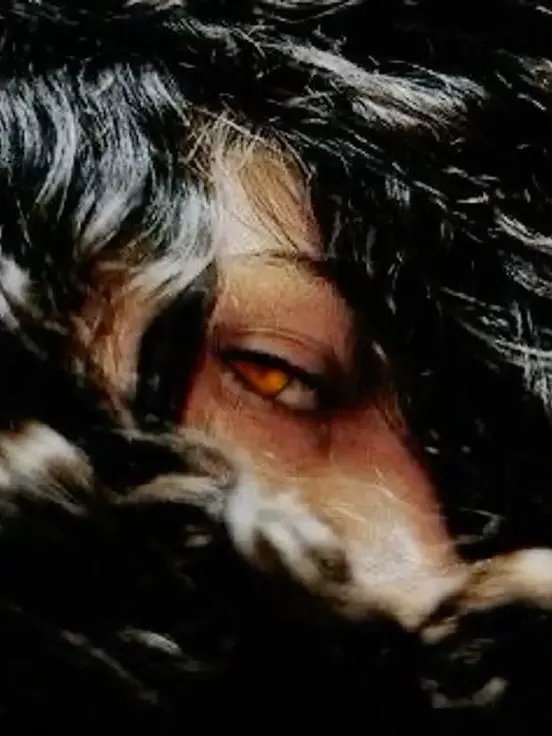 SureWaist0618의 Your Fiance Has a Secret.