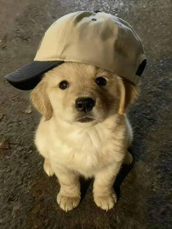 RudeTax5262의 가끔 떠오르던 얼굴들이 흐려져가는건