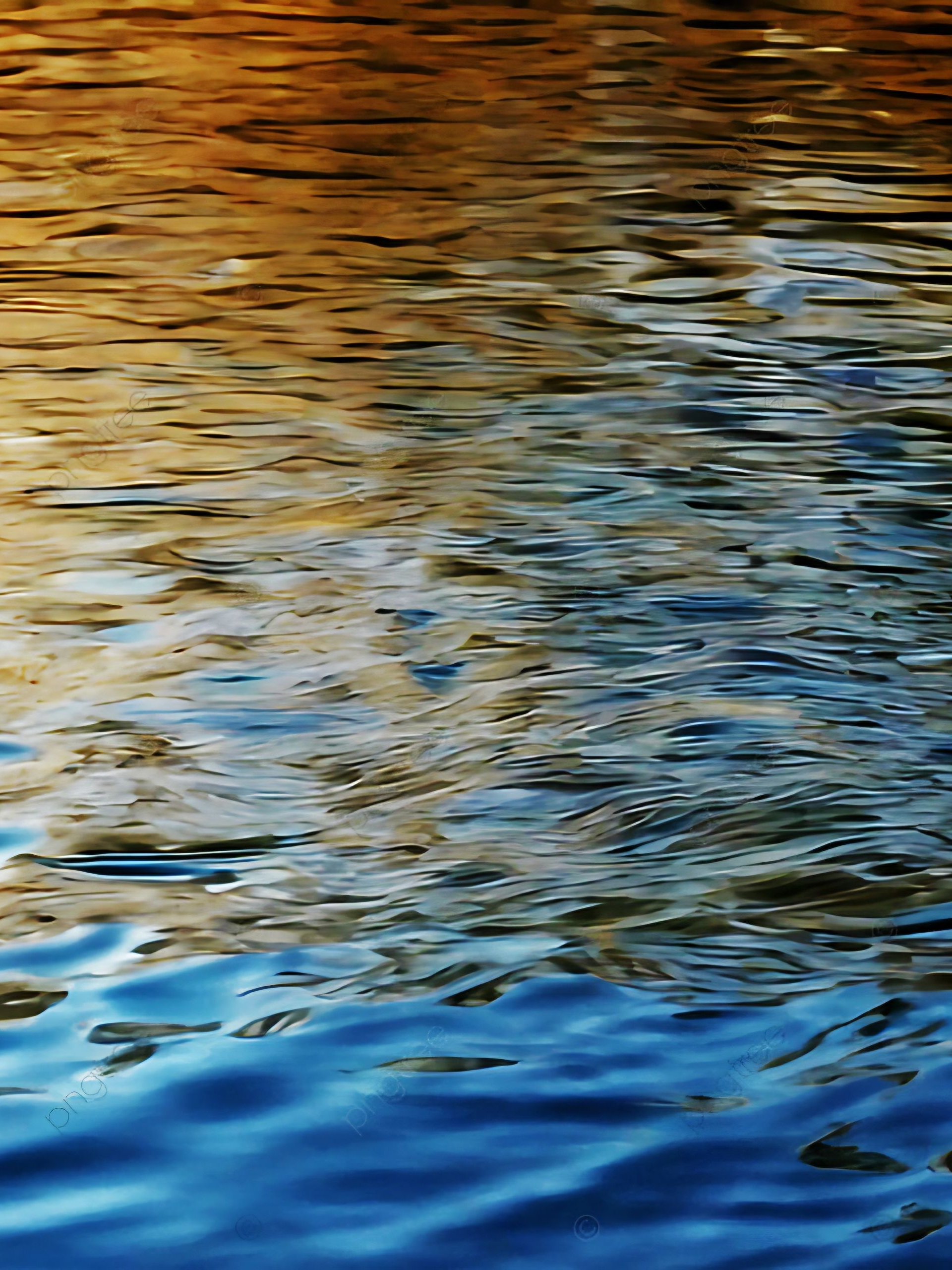눈이 내려앉은 자루규 대표 이미지