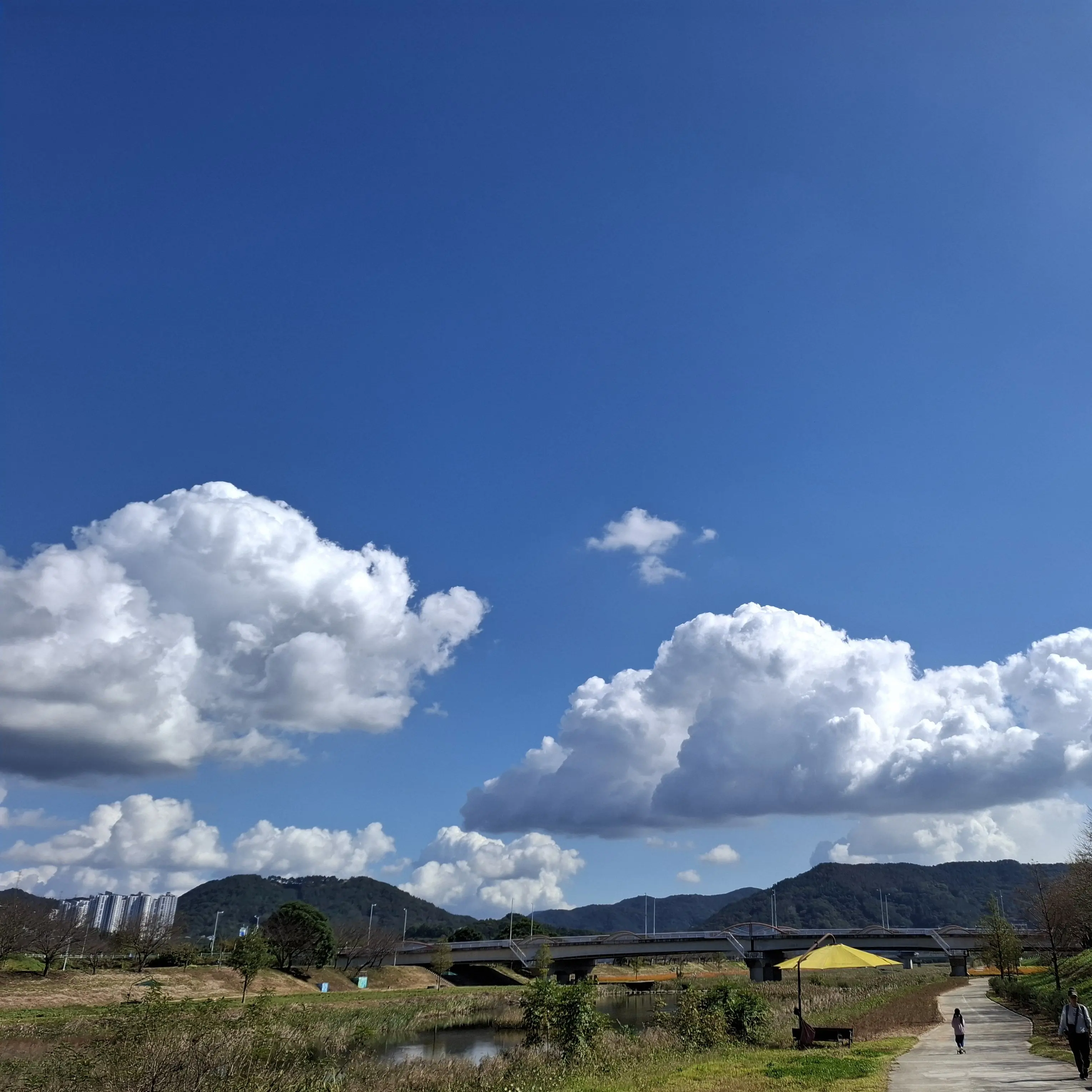 PrimGrill8454의 할로윈 축제 간 뜰팁