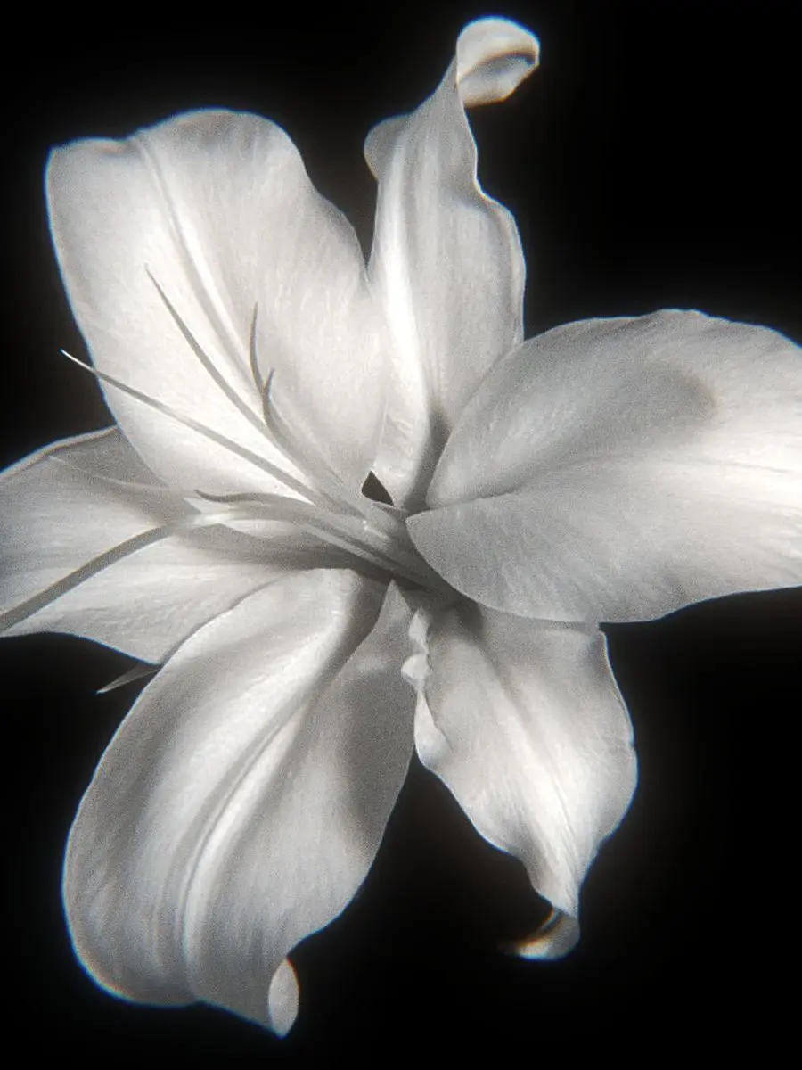 LooseLight1486의 君の痛い感じてたい