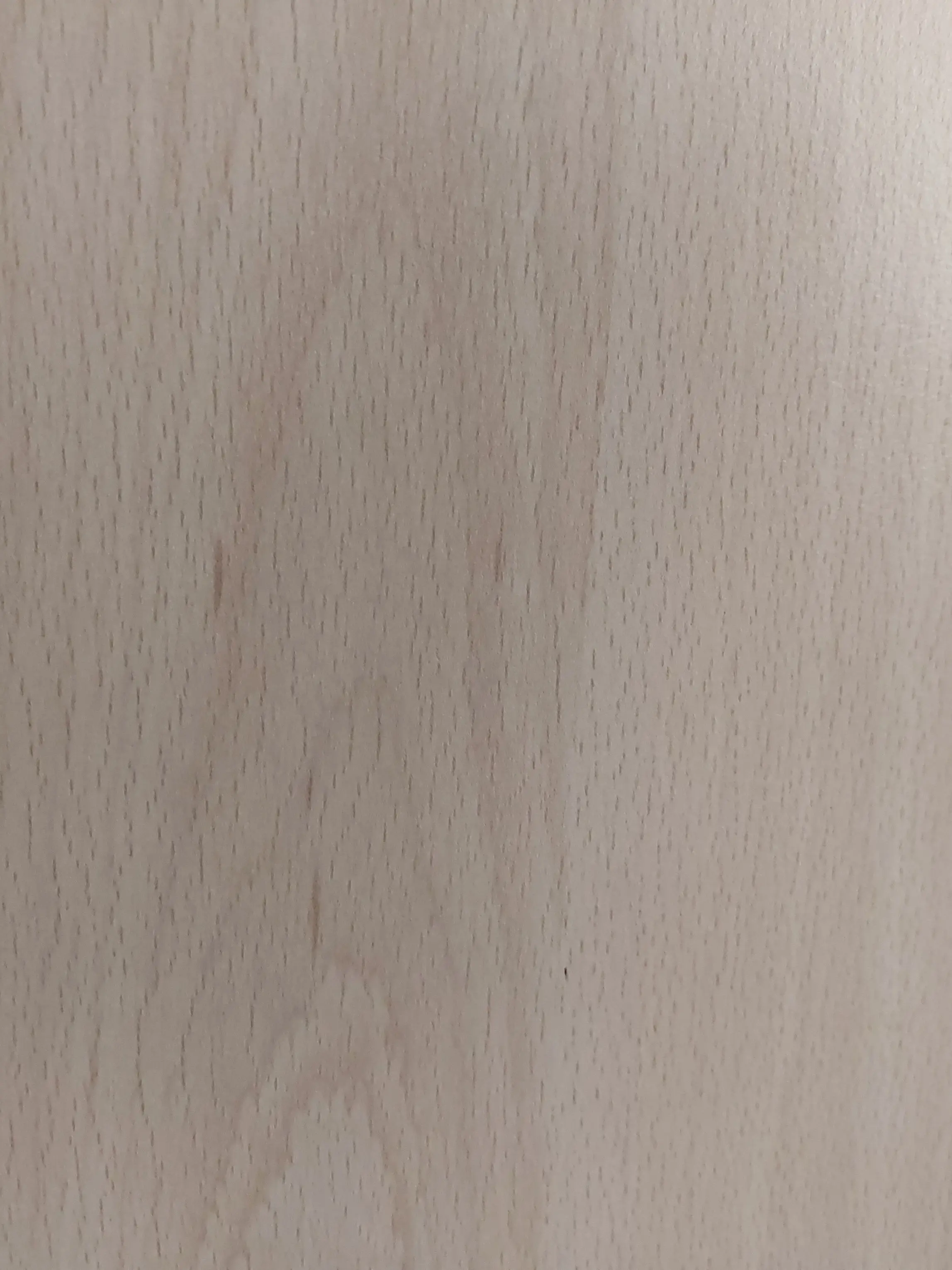 SwiftMint9796의 달이! 최애의아이!