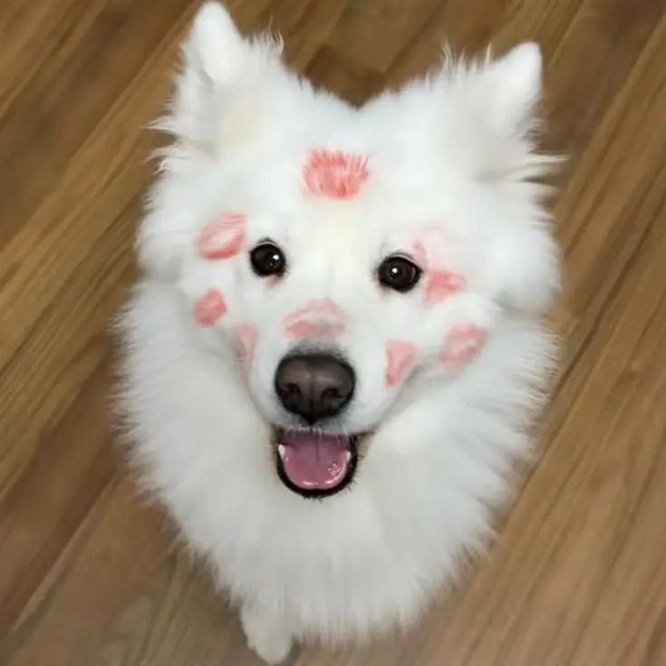 muyoung0의 하 유현