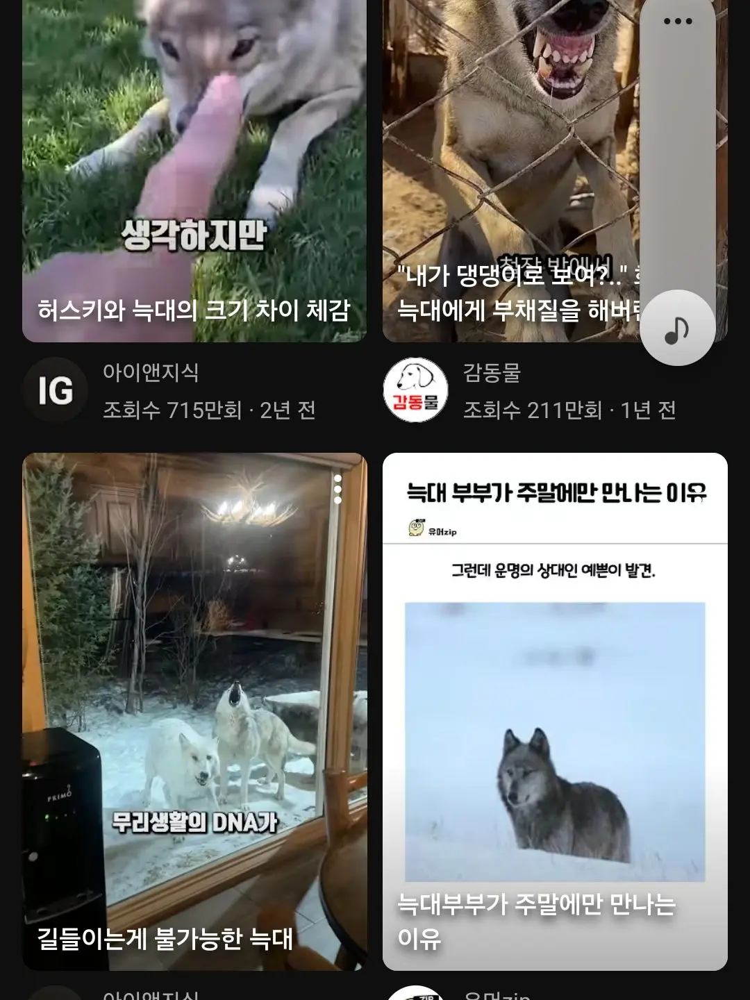 GrayStaff5933의 싸복동