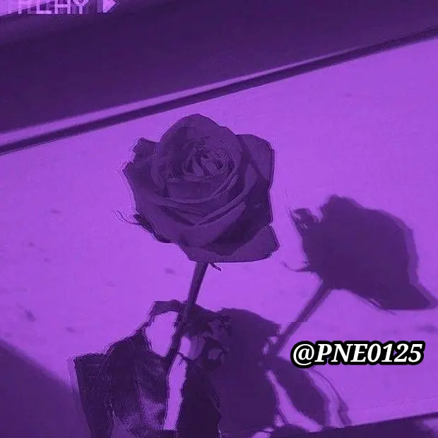 PNE0125의 라벨라