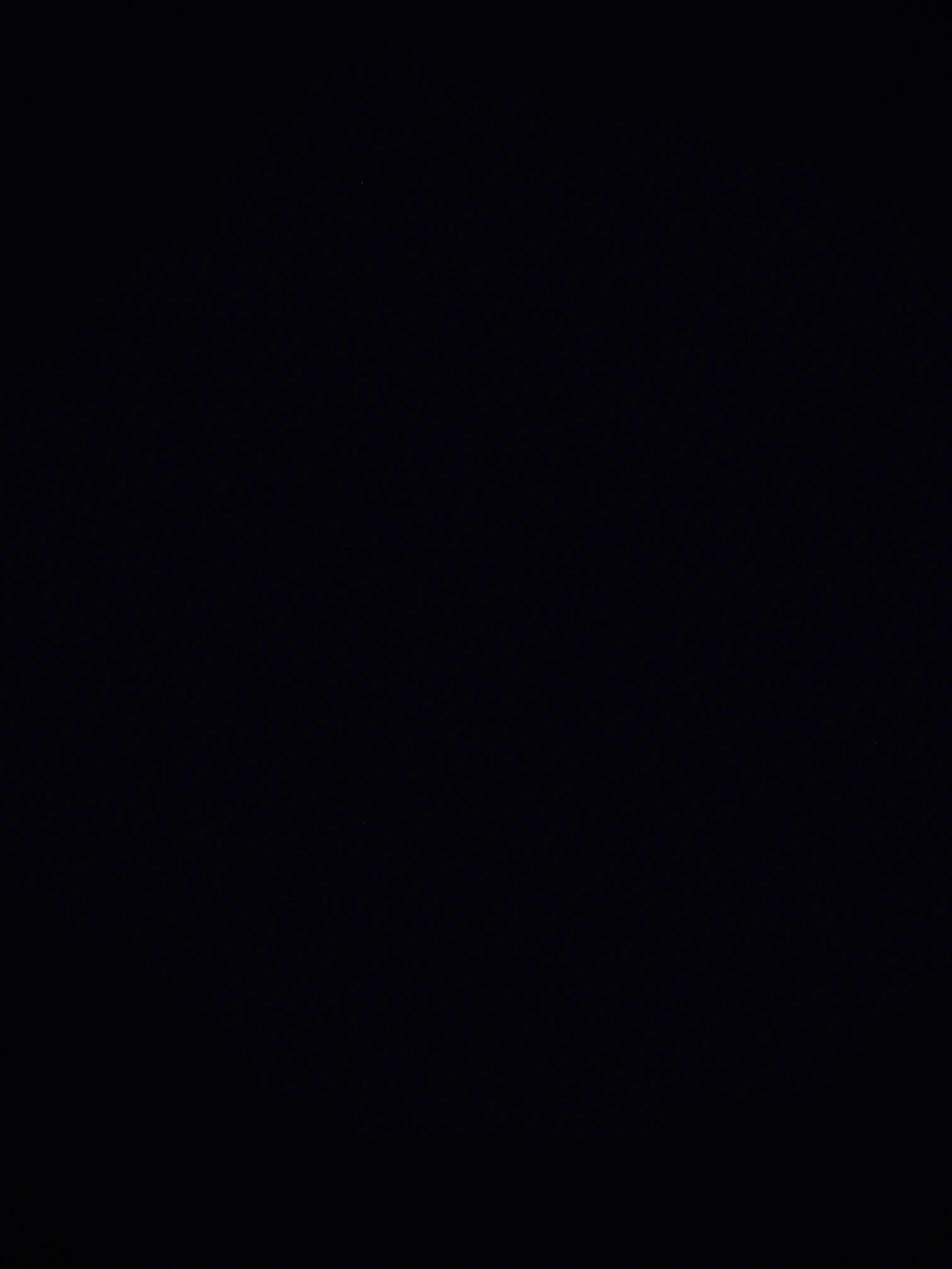 T_aesan의 이상혃