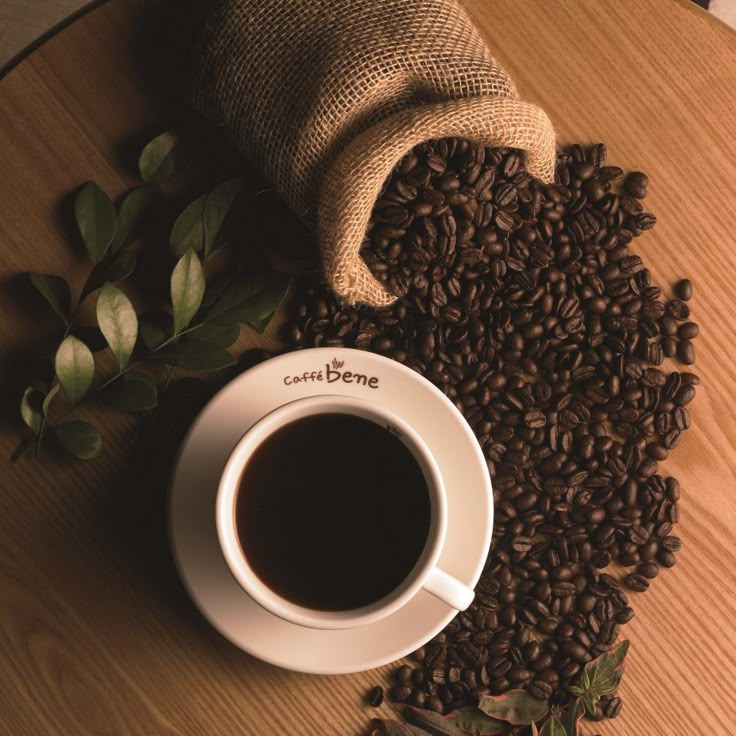 Espresso & Latte 대표 이미지