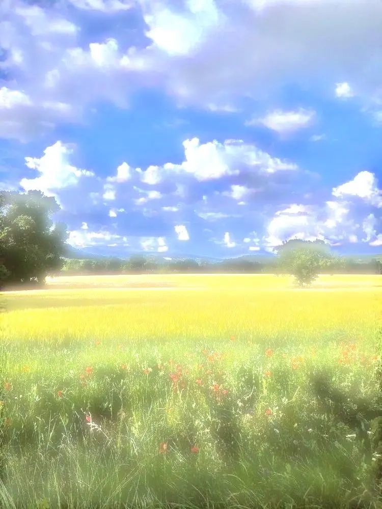 haram0604의 뜰팁과 함께