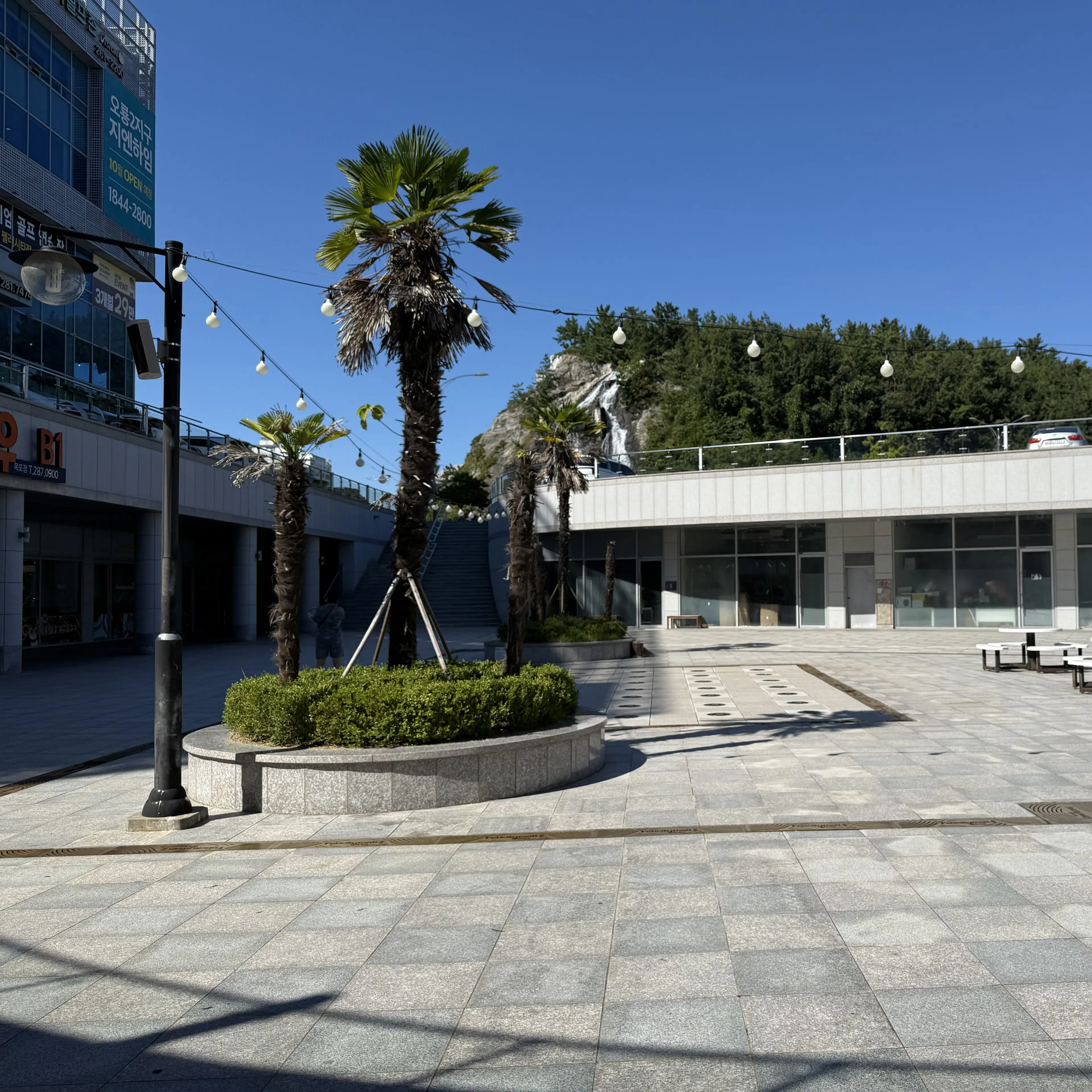 NimbleDuvet6665의 호날두 주니어