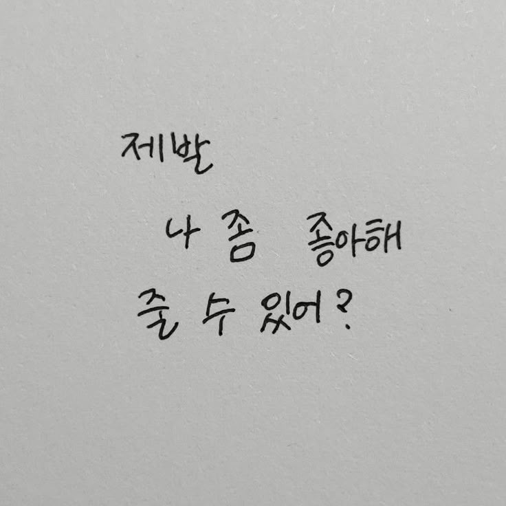 박지원 대표 이미지