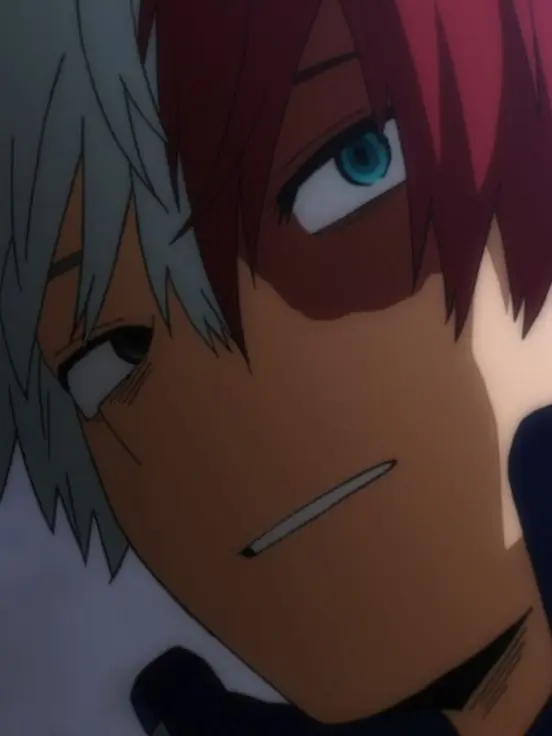 Novachanz의 Shoto Todoroki