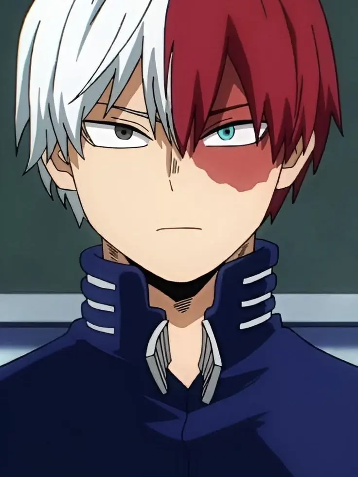 Novachanz의 Shoto Todoroki