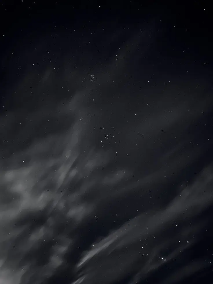 TimelyBerry2377의 £