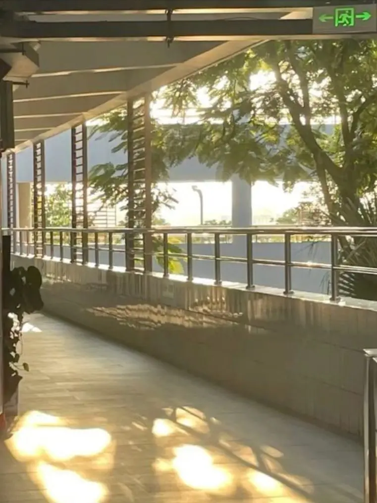 SicklySeal9837의 고고프렌즈 : 중학교