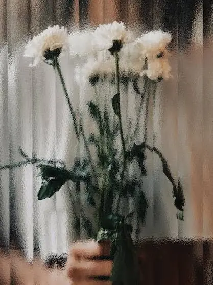 12345_abc의 연모합니다.
