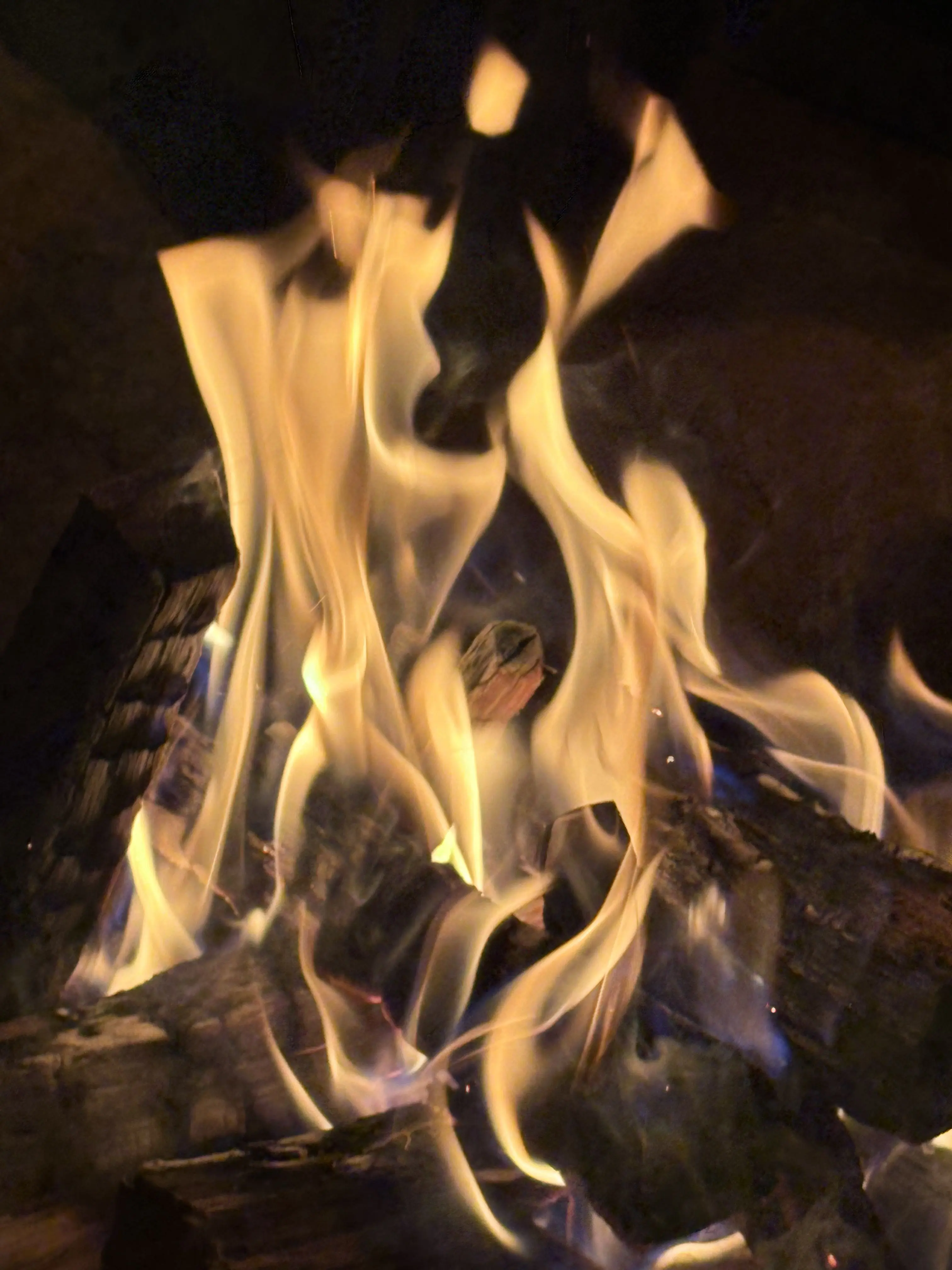 ShinyCape8802의 정경민