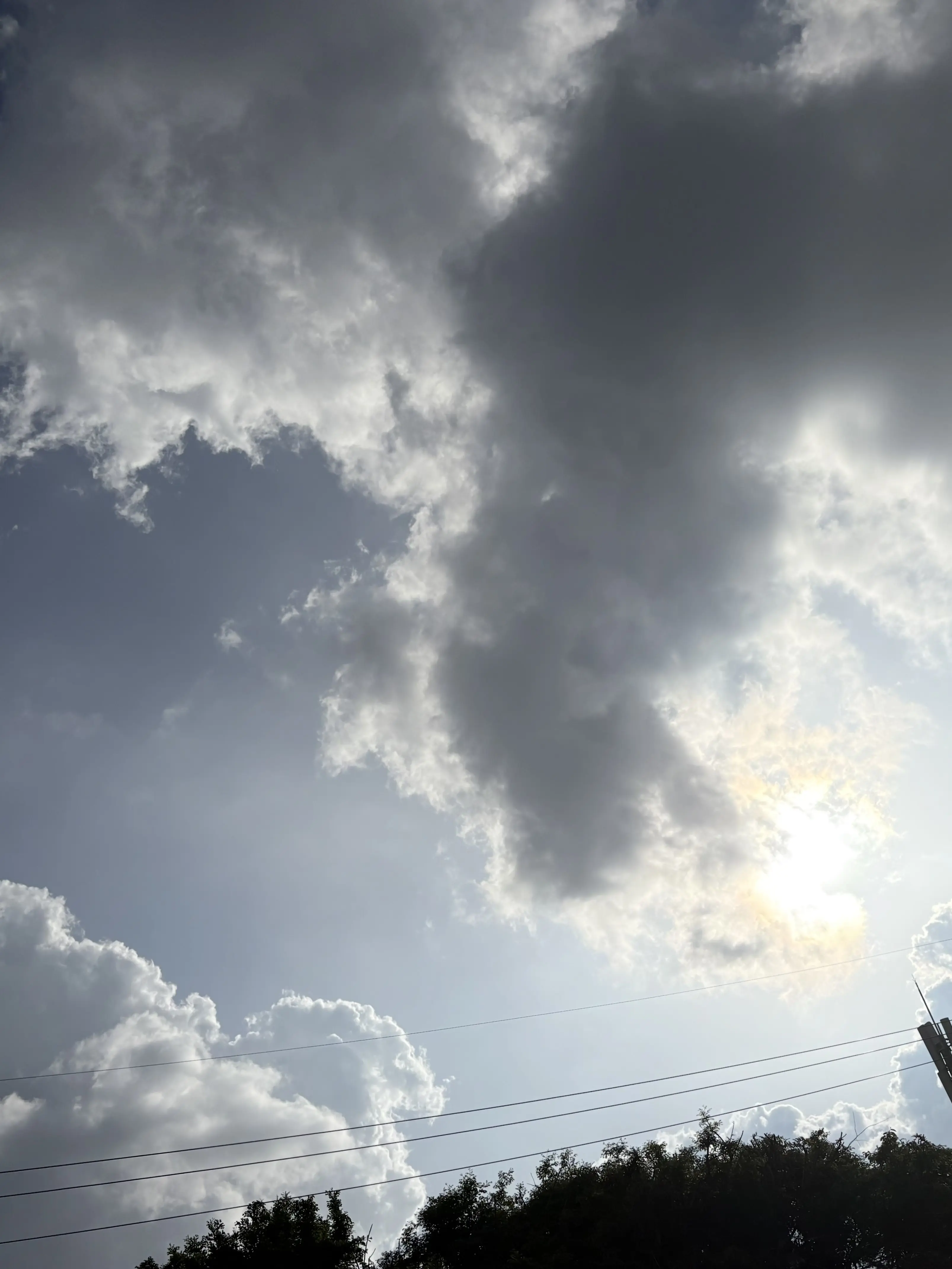 cuTe4의 아크아트 연구소