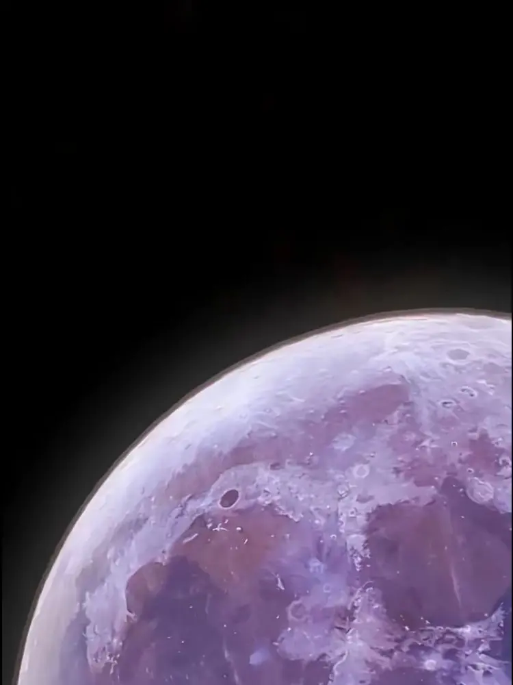 88e의 학교 모범생과 미친 양아치.