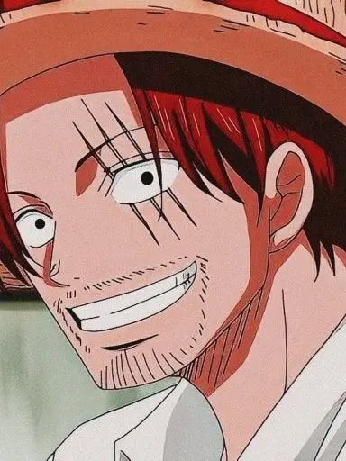 lec100111의 샹크스