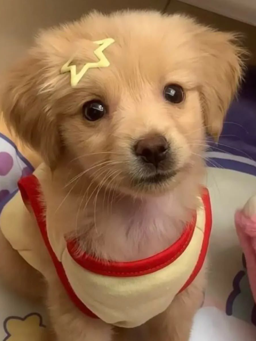김대영 대표 이미지