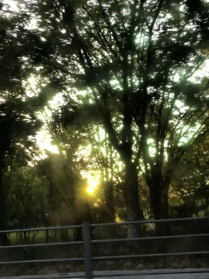 Ilovelimbus의 조금 부족하더라도 좋아해!